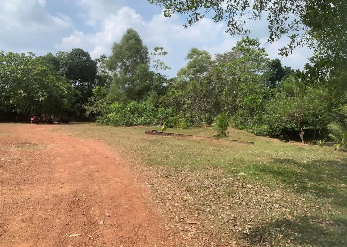 Residential Land for Sale in Homagama