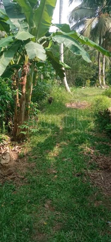 Residential Land for Sale in Galle ads-image-1