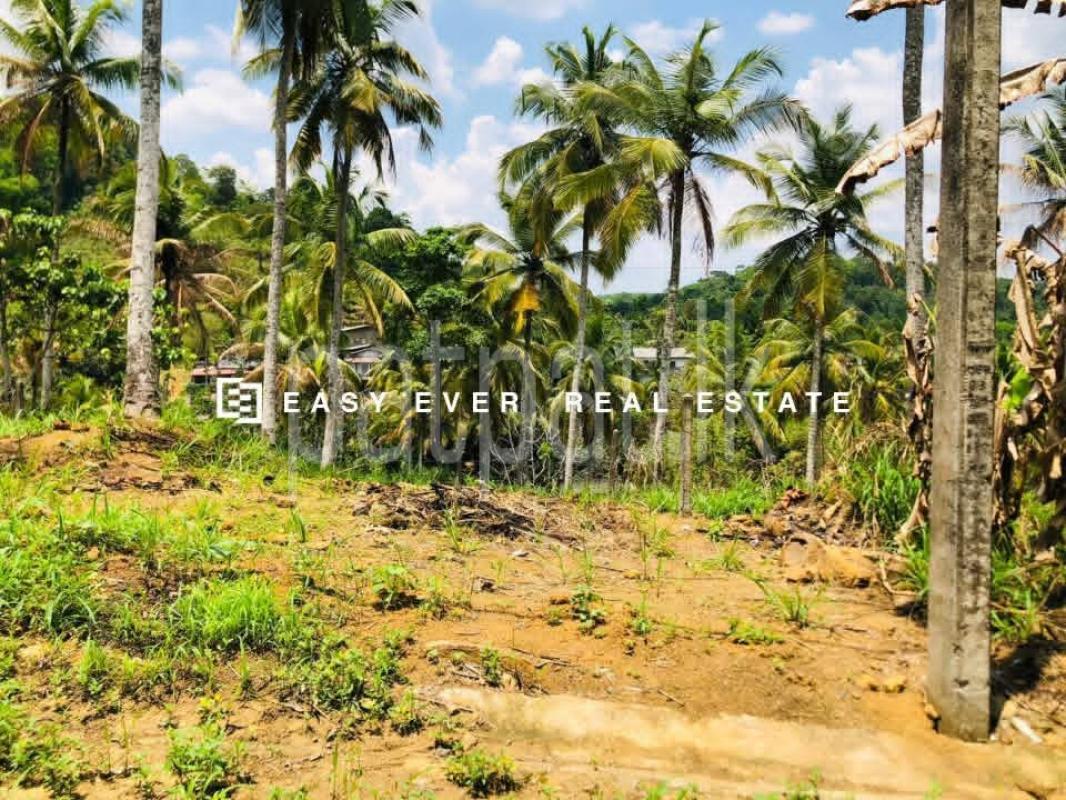Residential Land for Sale in Warakapola