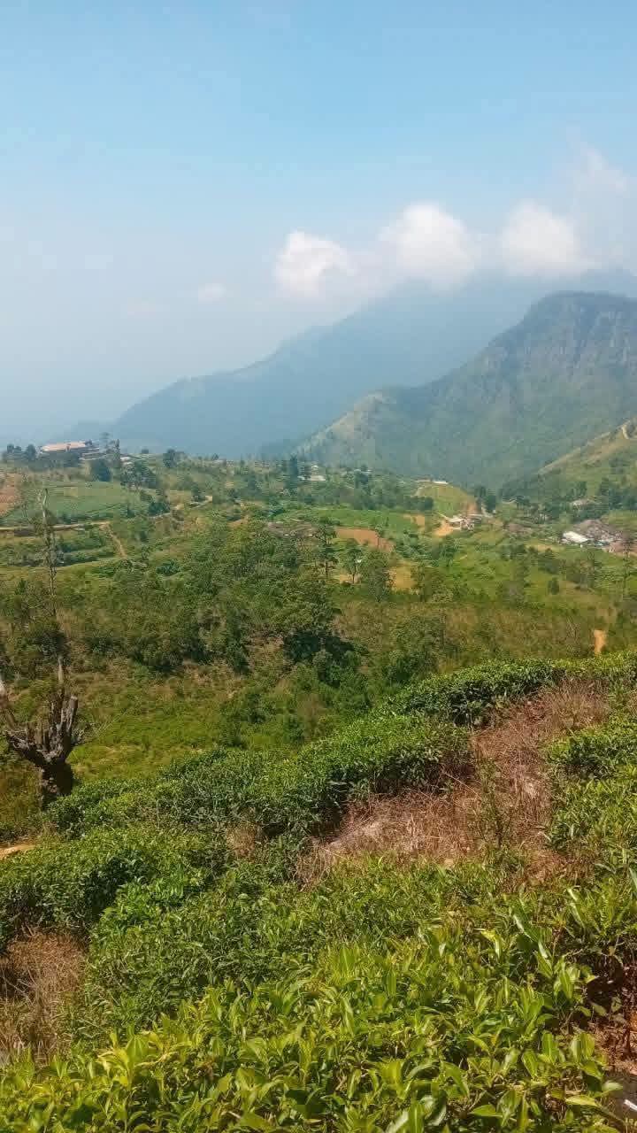 Agricultural Land for Sale in Ohiya