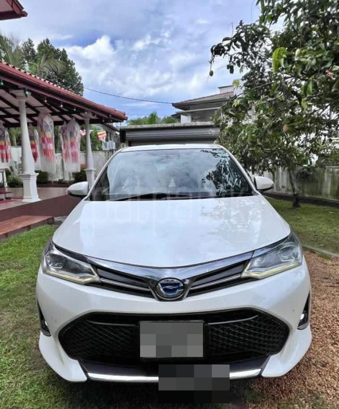 Toyota Axio Fielder 2018 - Used Car sale in Sri Lanka - patpat.lk