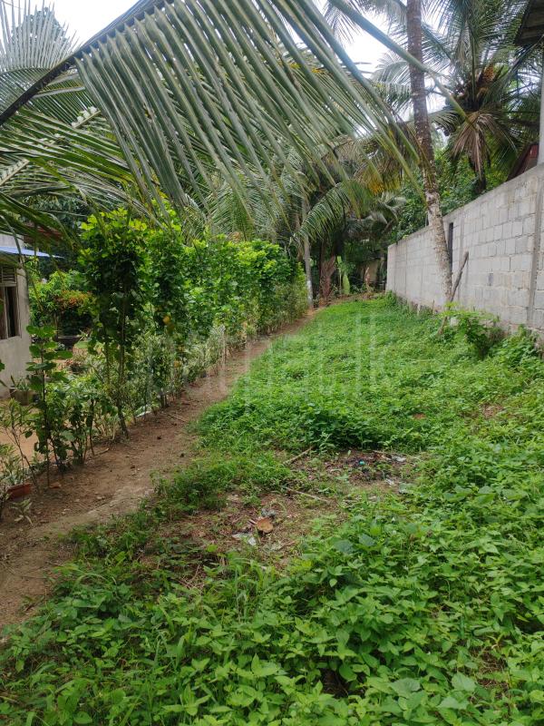 Residential Land for Sale in Kosgama ads-image-1