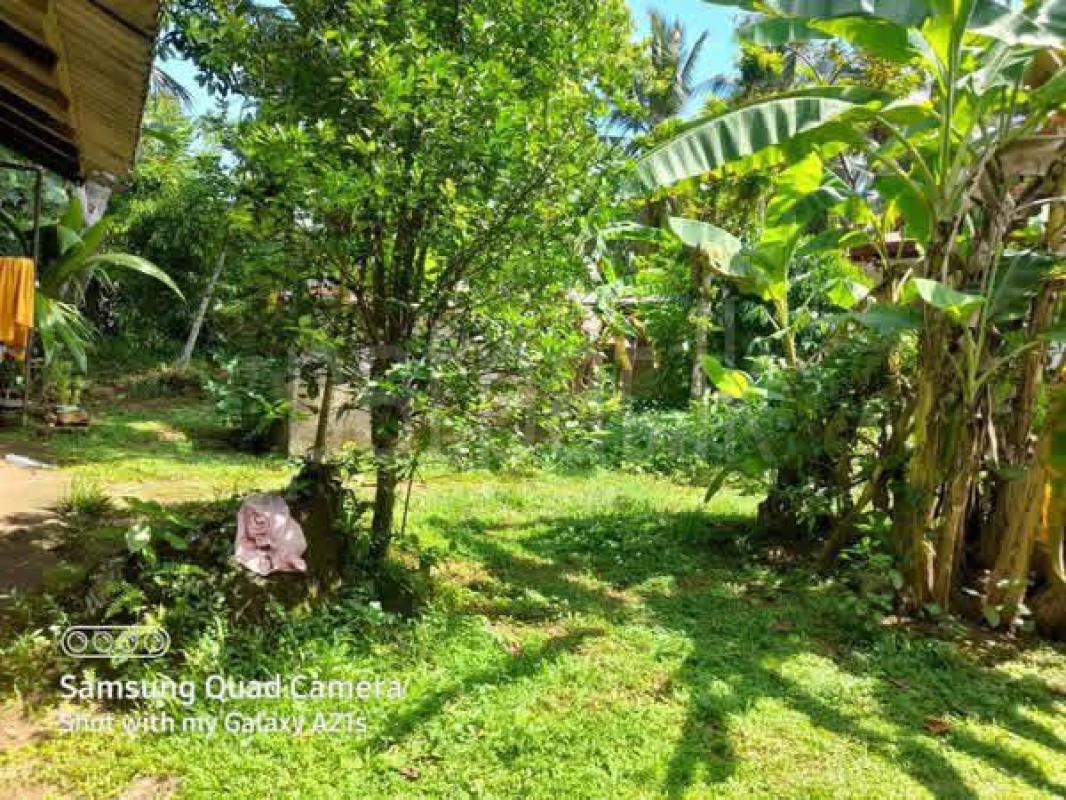 Residential Land for Sale in Gonapola Junction