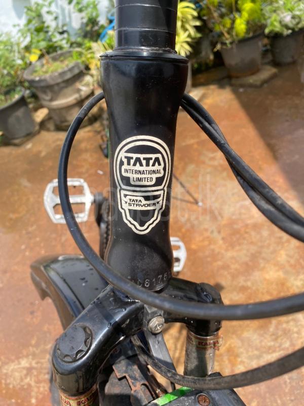 Advertisement image 4