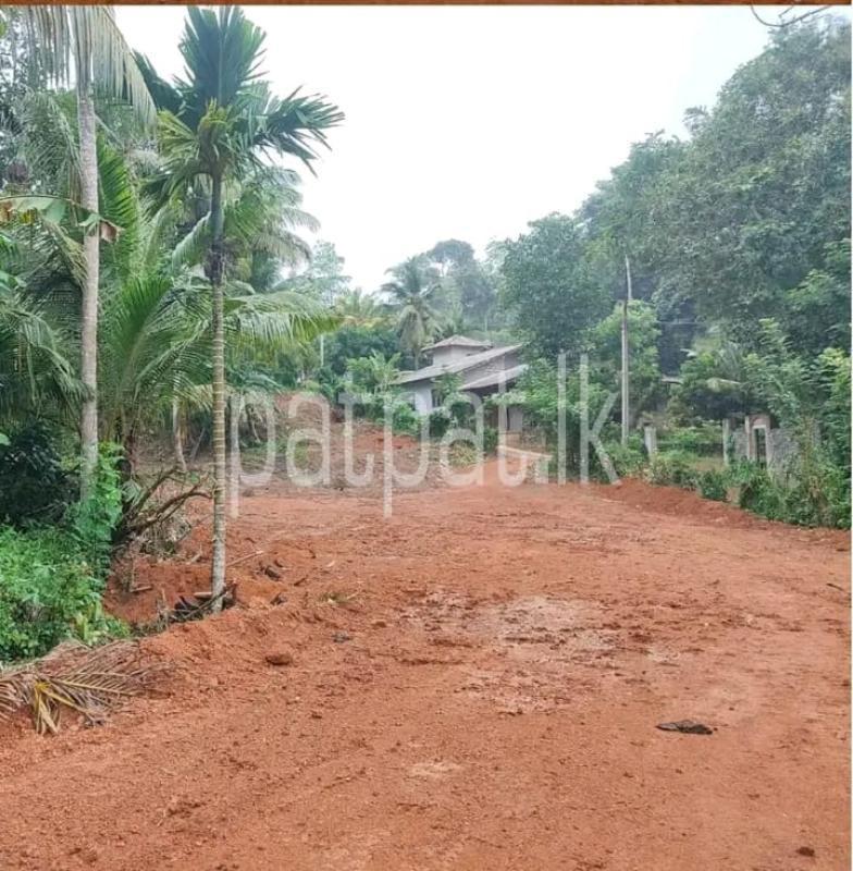 Land for Sale in Dikwella ads-image-1