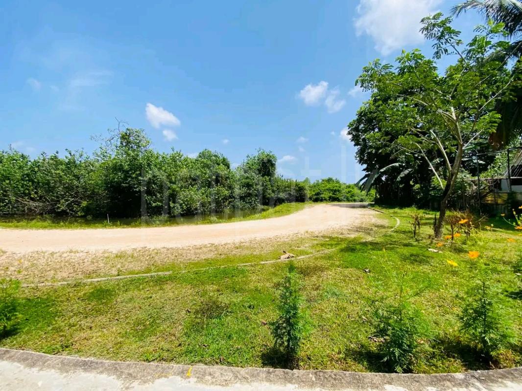 Residential Land for Sale in Hunupitiya ads-image-1