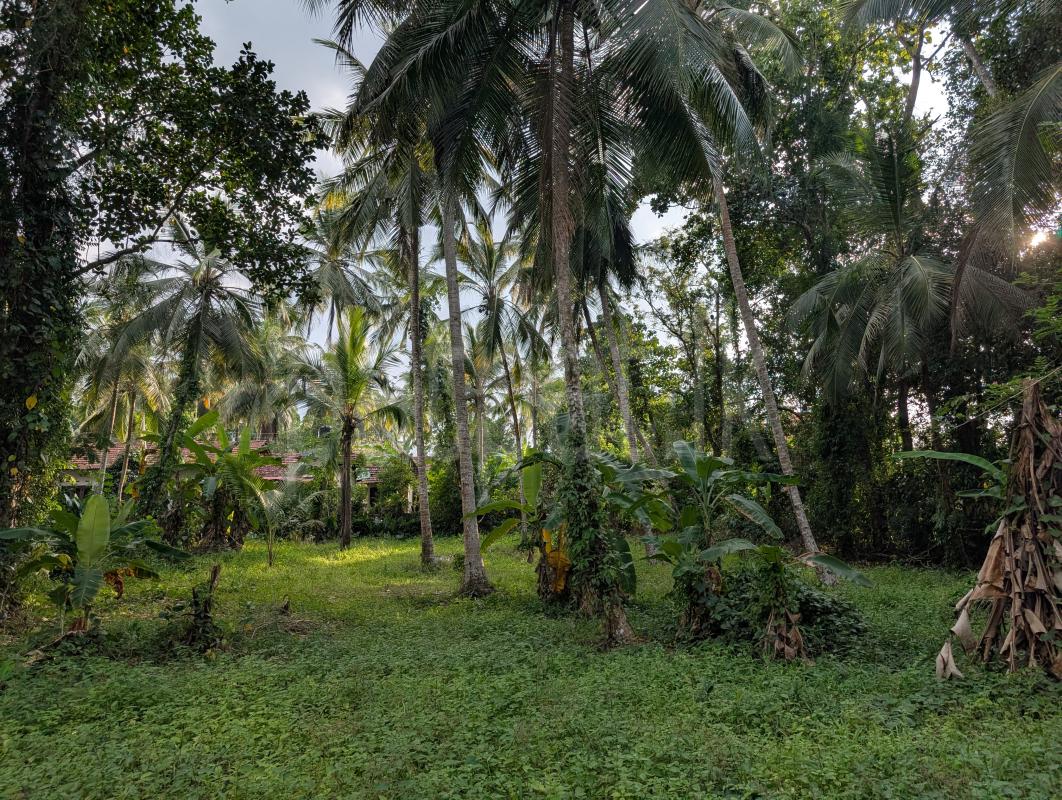 Residential Land for Sale in Divulapitiya