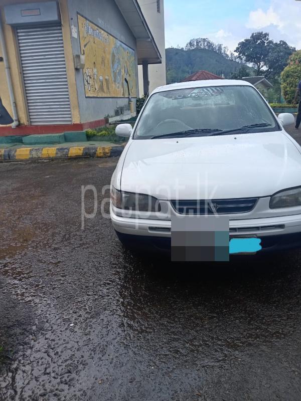 Advertisement image 1