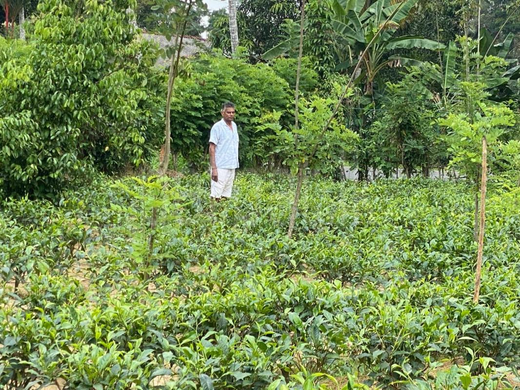 Commercial Land for Sale in Baddegama