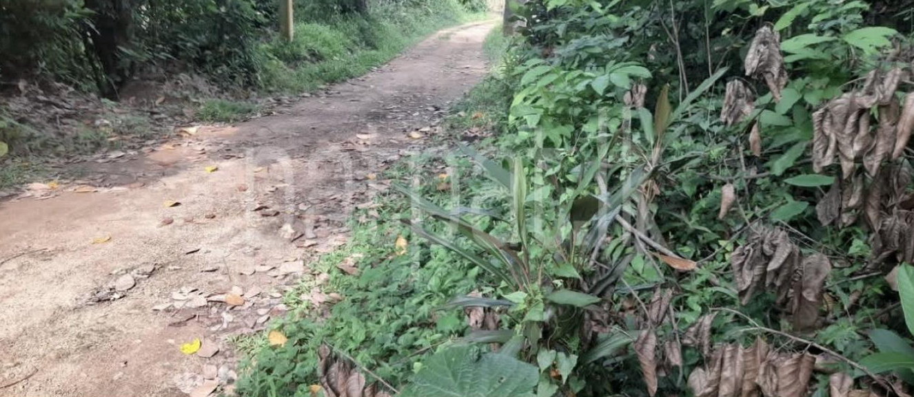 Agricultural Land for Sale in Wanchawela
