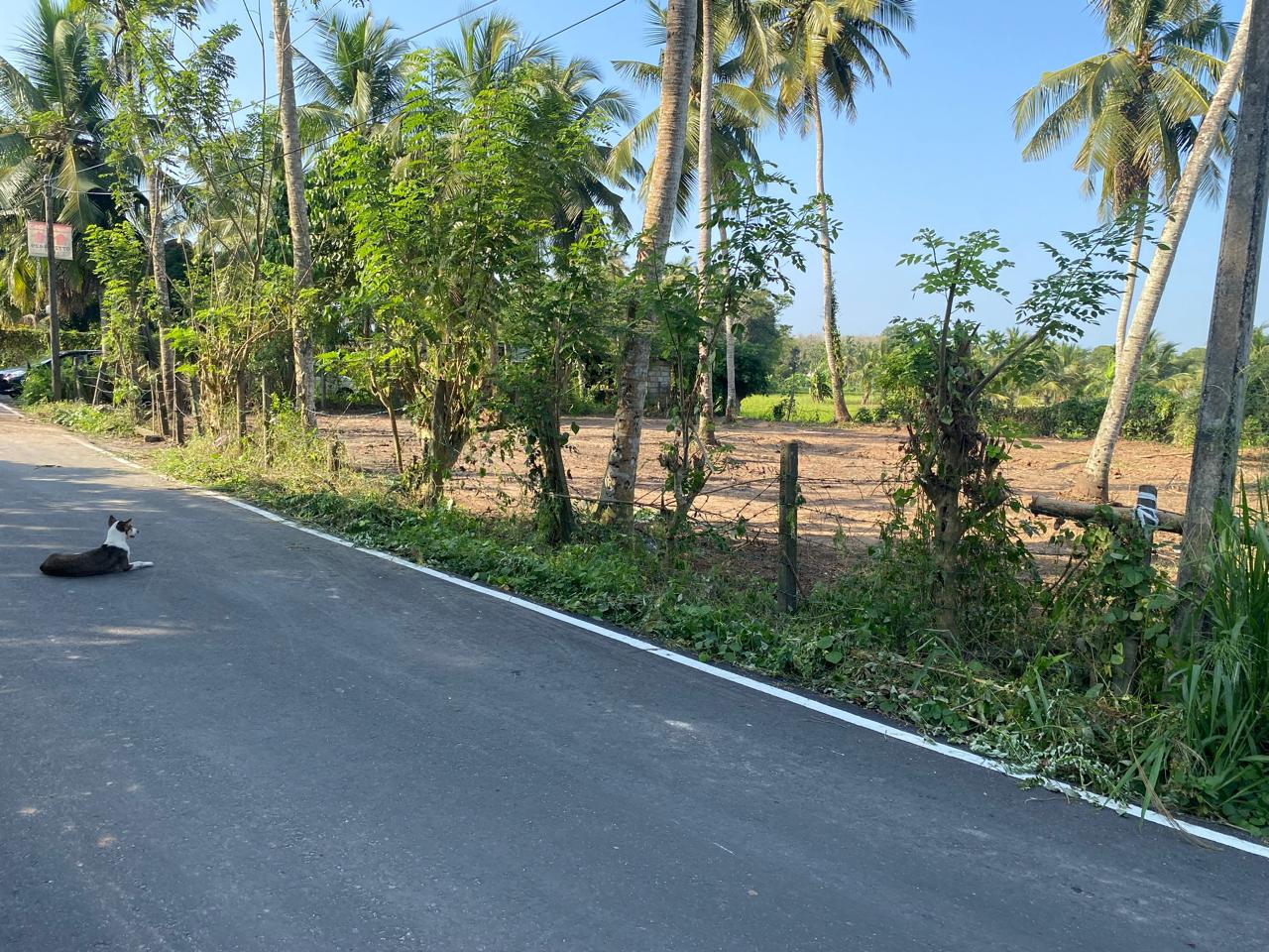 Residential Land for Sale in Polgasowita