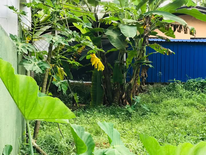 Residential Land for Sale in Piliyandala ads-image-1