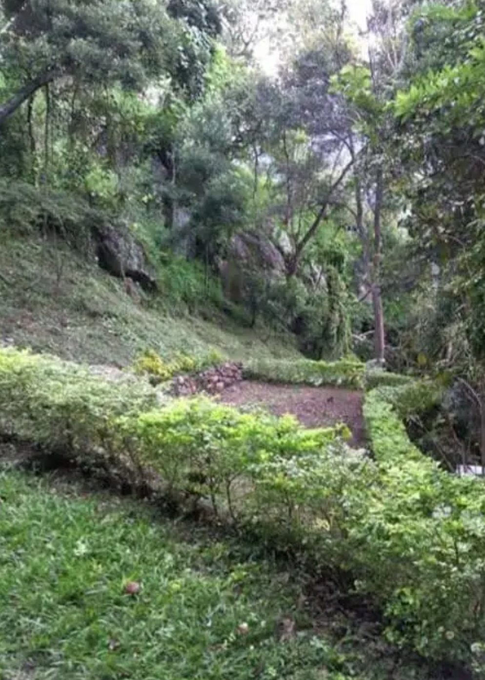 Commercial Land for Sale in Belihuloya