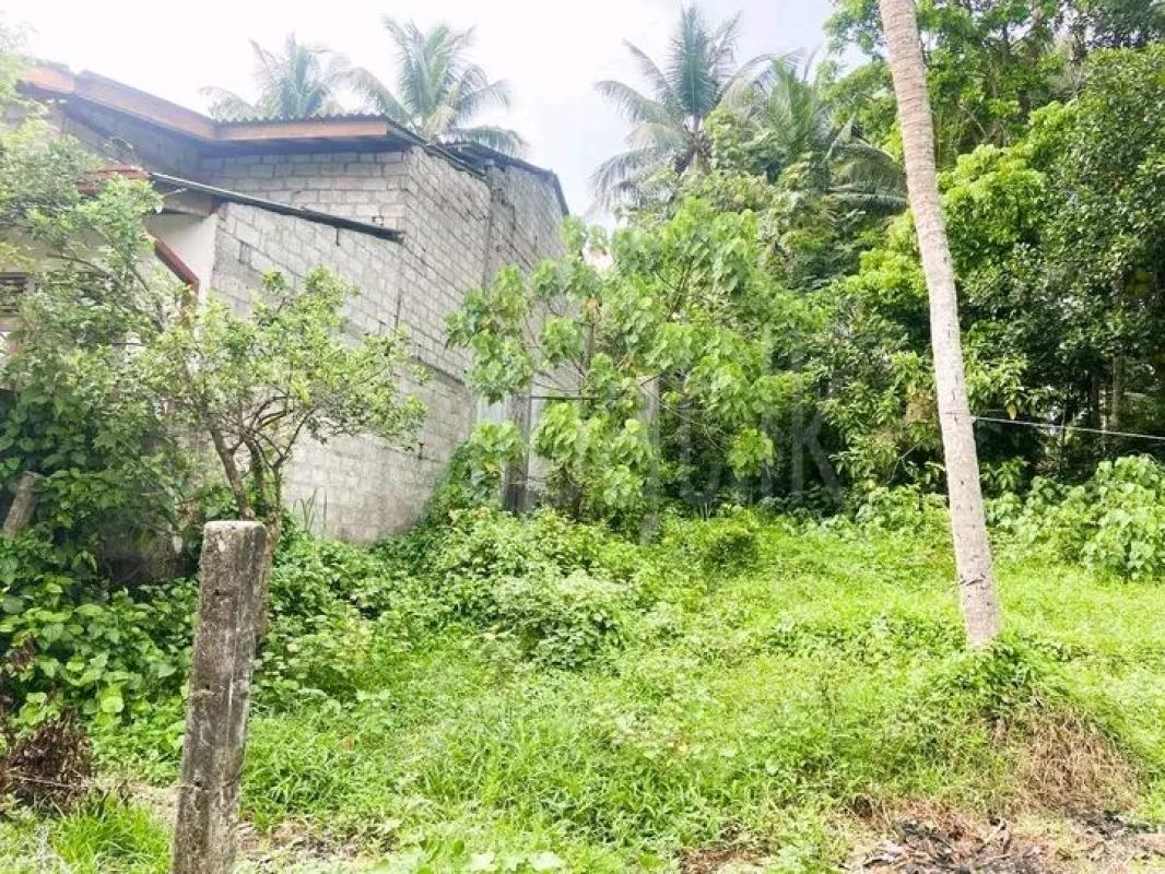 Advertisement image 5