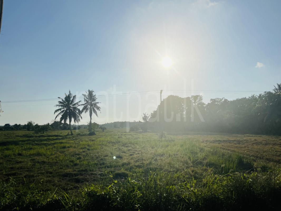 Commercial Land for Rent in Ja-Ela ads-image-1