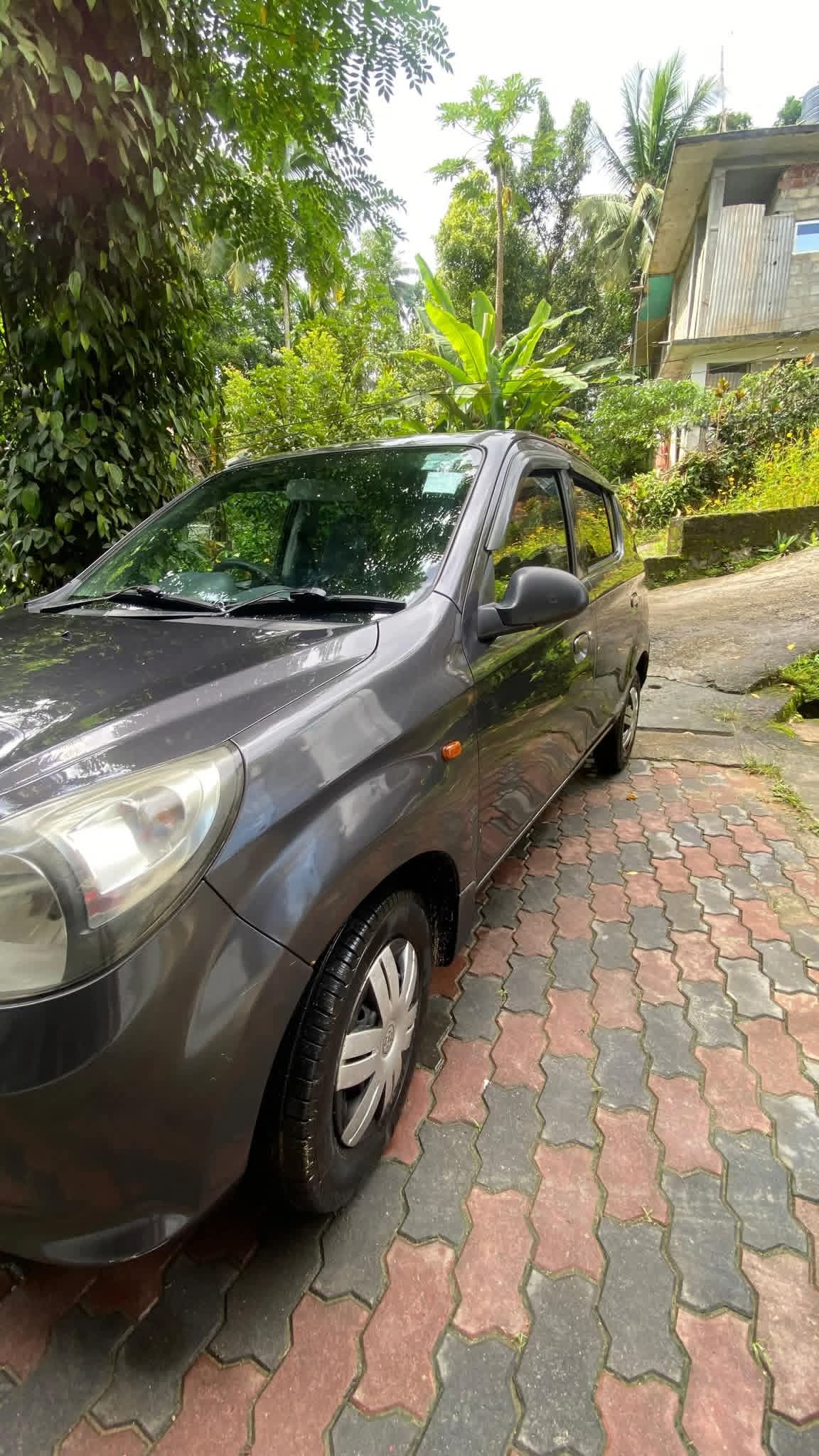 Suzuki Alto 2013 - பயன்படுத்தப்பட்டது கார் sale in Sri Lanka - patpat.lk