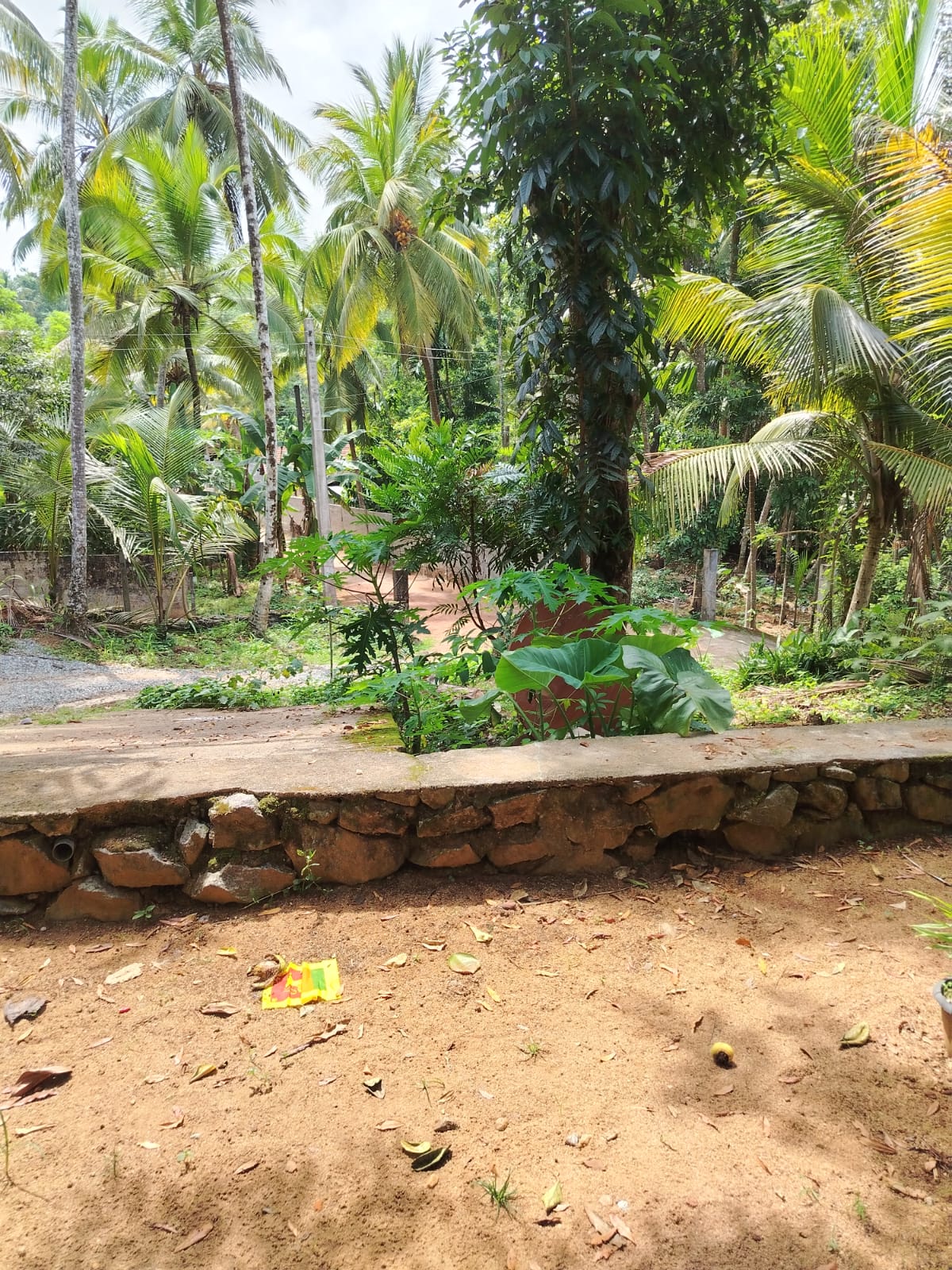 Residential Land for Sale in Kosgama