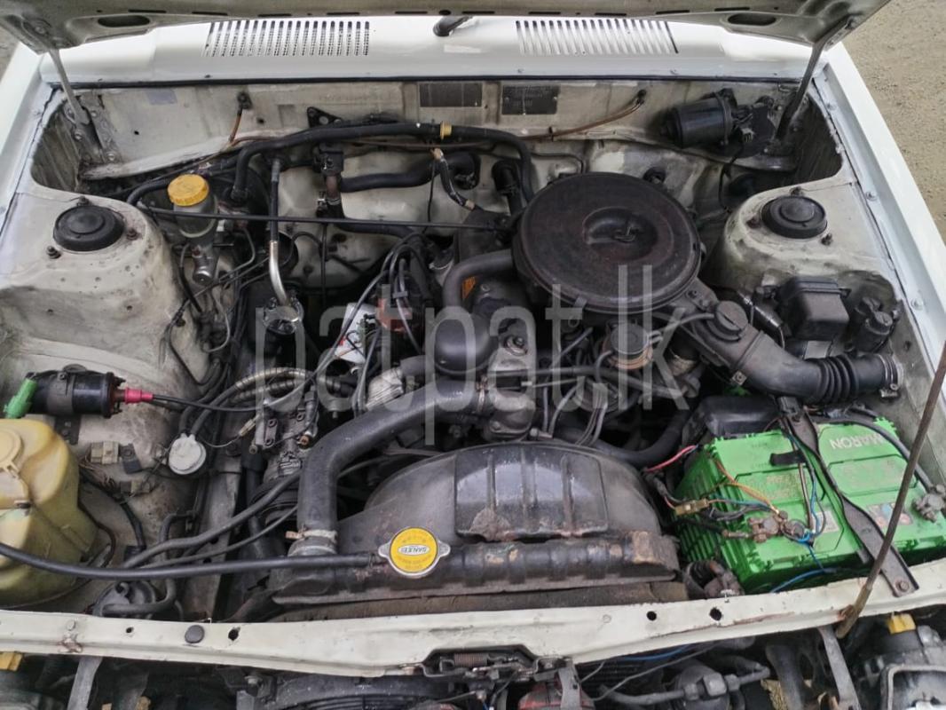 Advertisement image 1