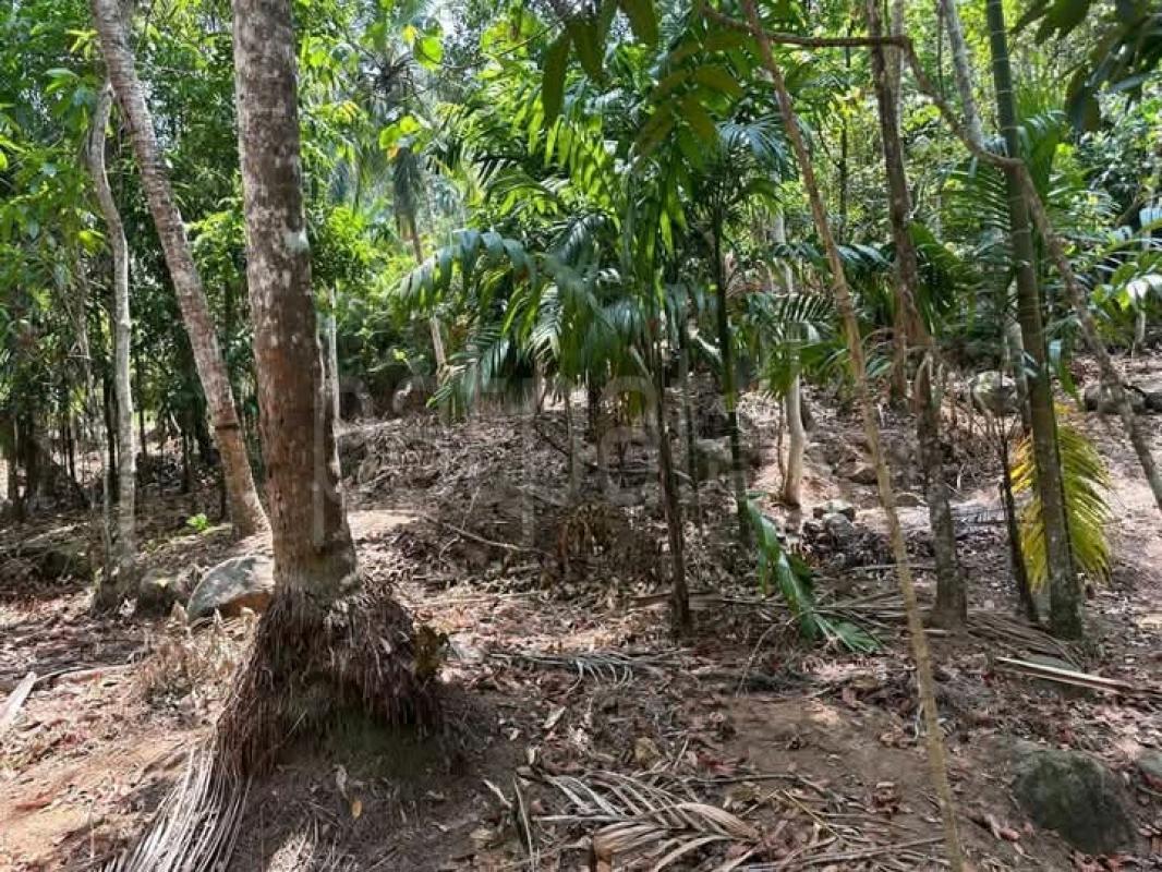Commercial Land for Sale in Nittambuwa