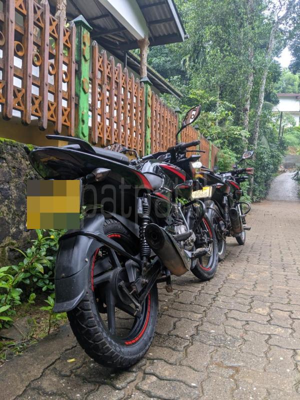 Bajaj Pulsar 2013 - භාවිතා කරන ලද බයිසිකලය sale in Sri Lanka - patpat.lk