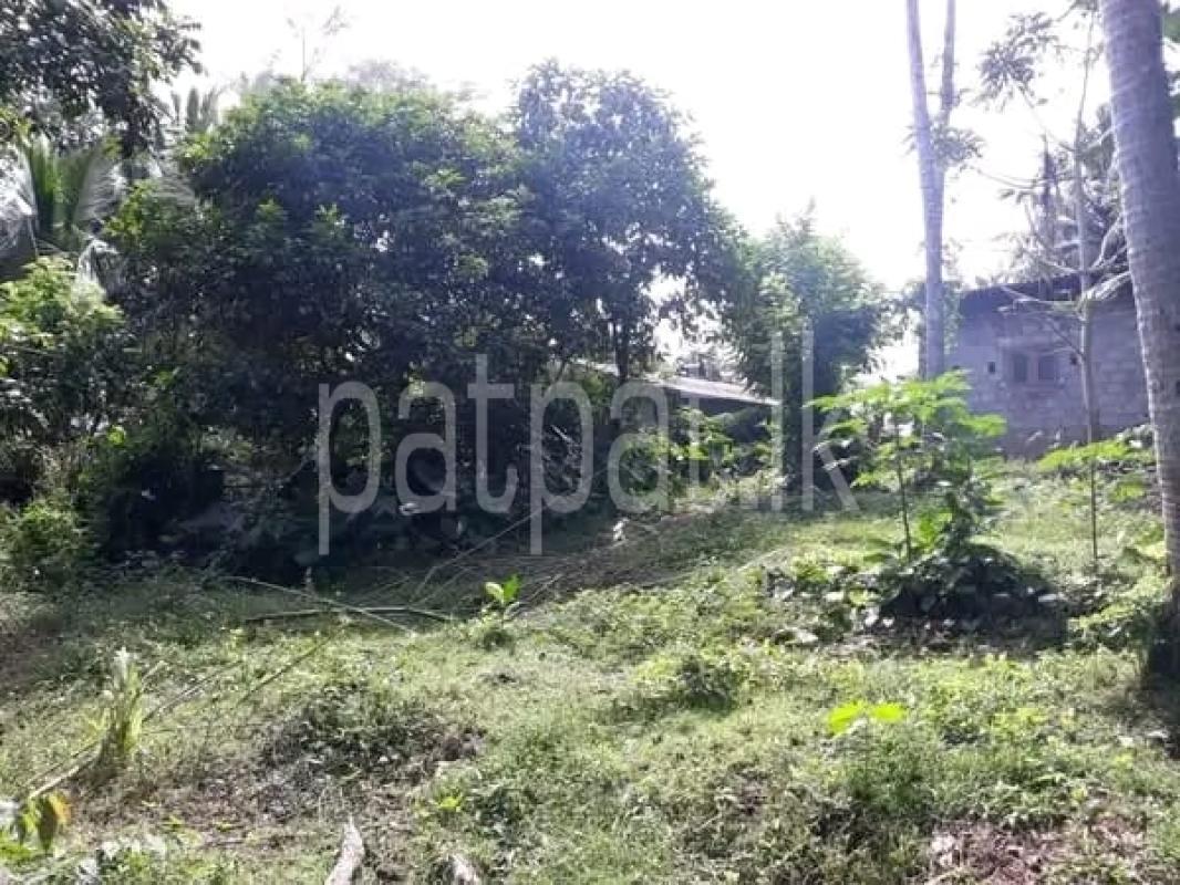 Advertisement image 3