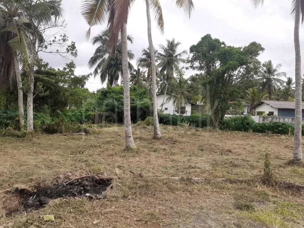 Residential Land for Sale in Maggona