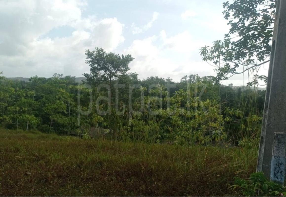 Residential Land for Sale in Galle