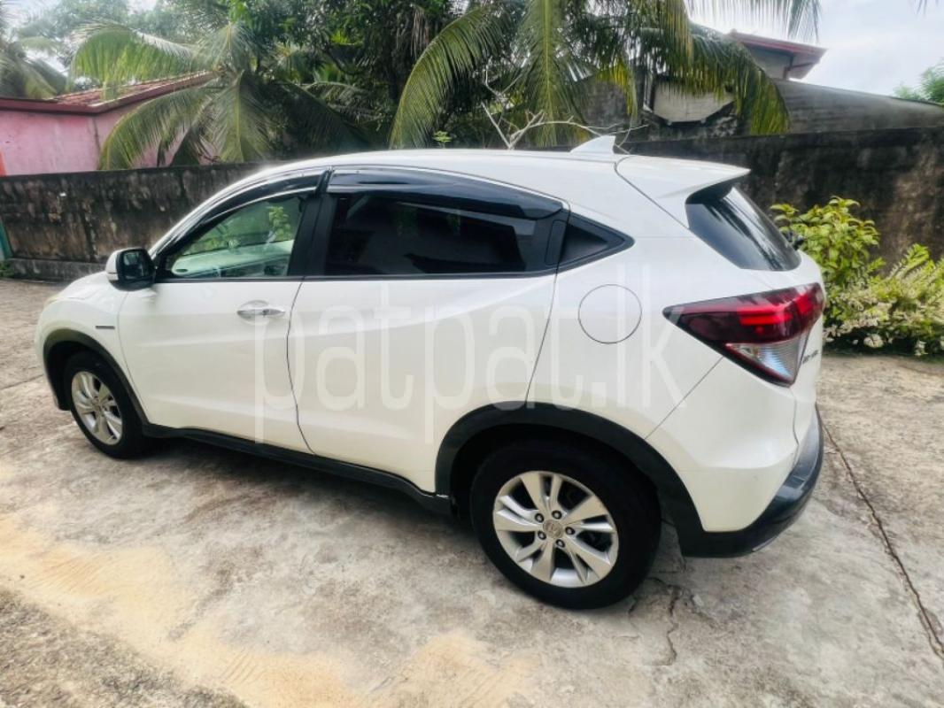 Advertisement image 3