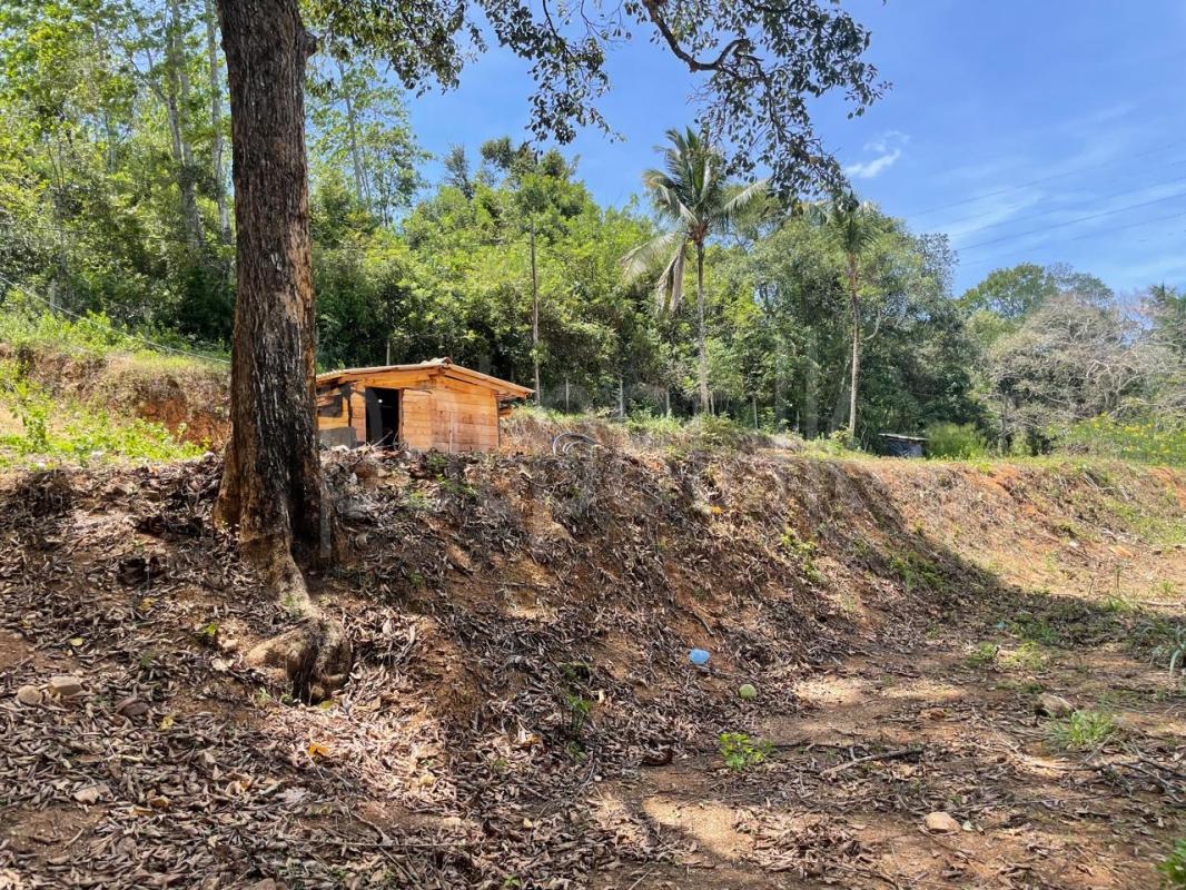 Residential Land for Sale in Balangoda