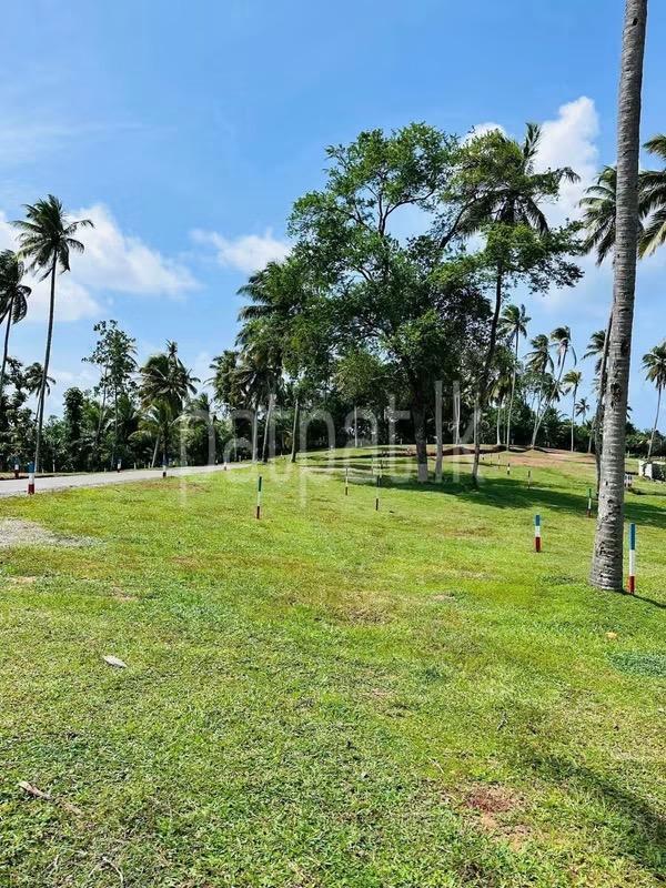 Residential Land for Sale in Matara