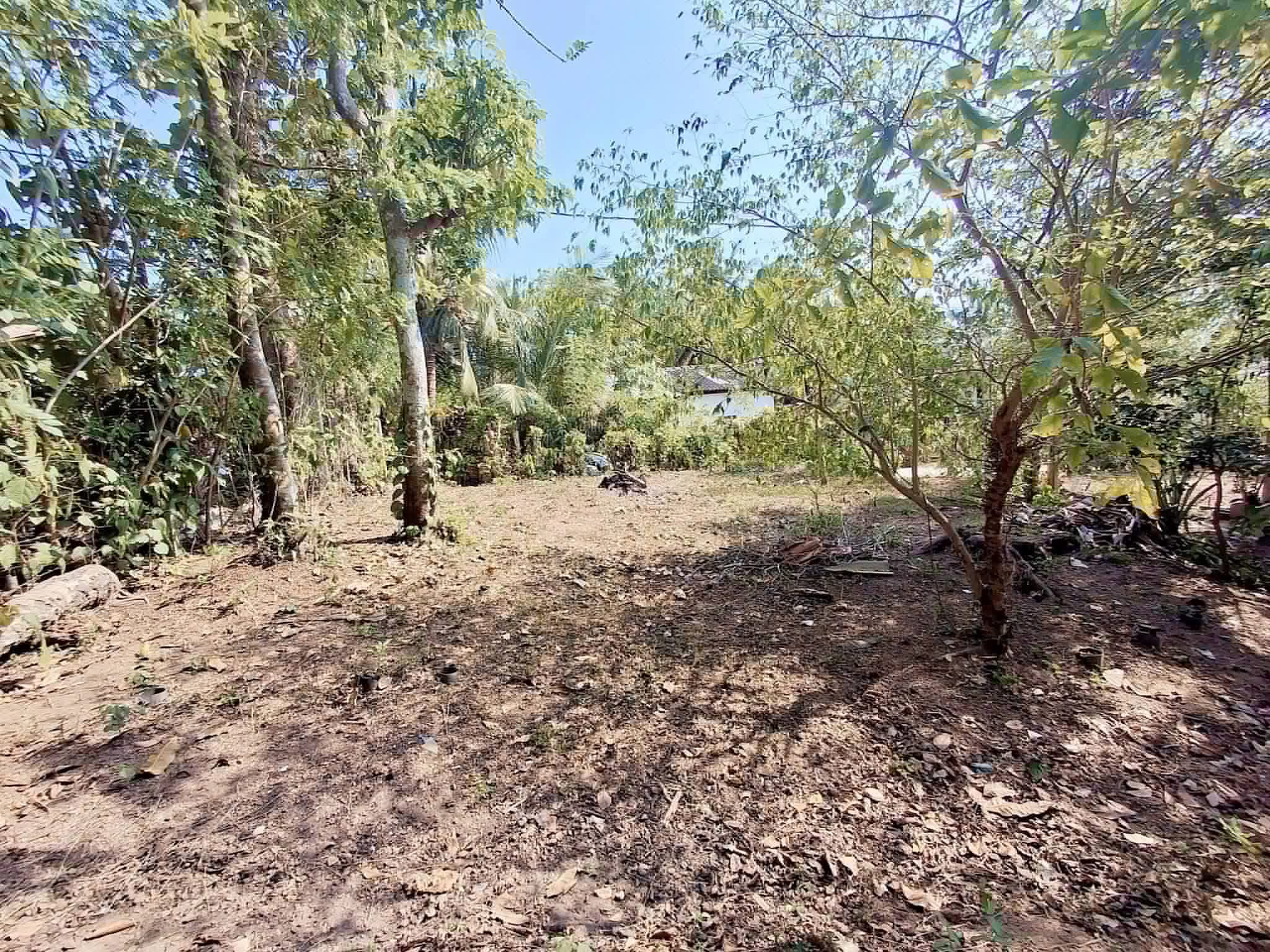 Agricultural Land for Sale in Panadura