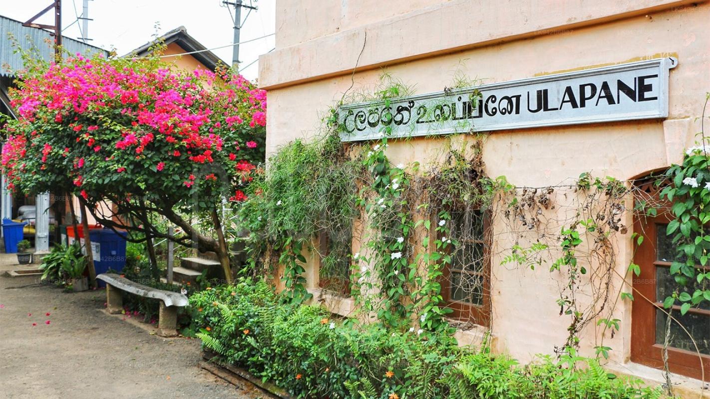 Advertisement image 4