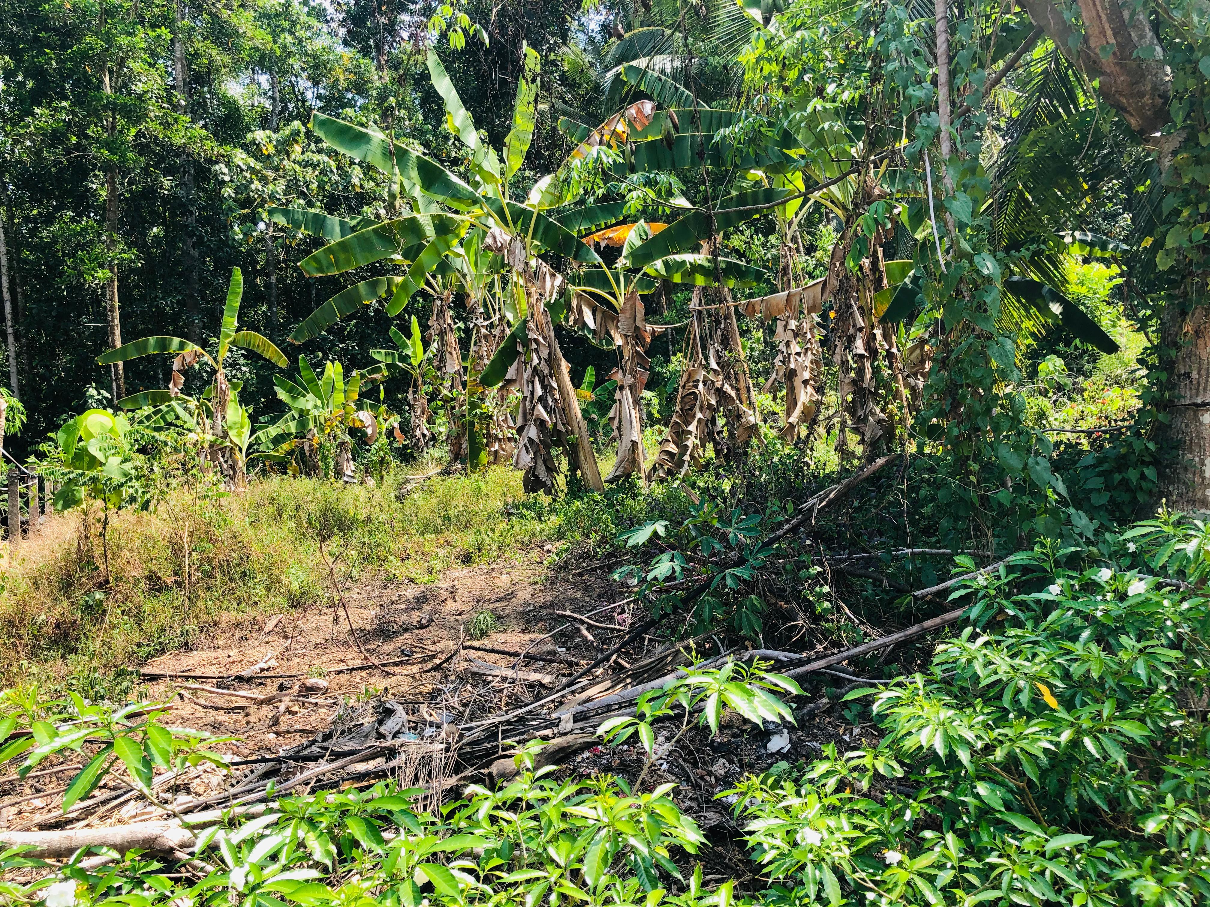 Residential Land for Sale in Kirindiwela