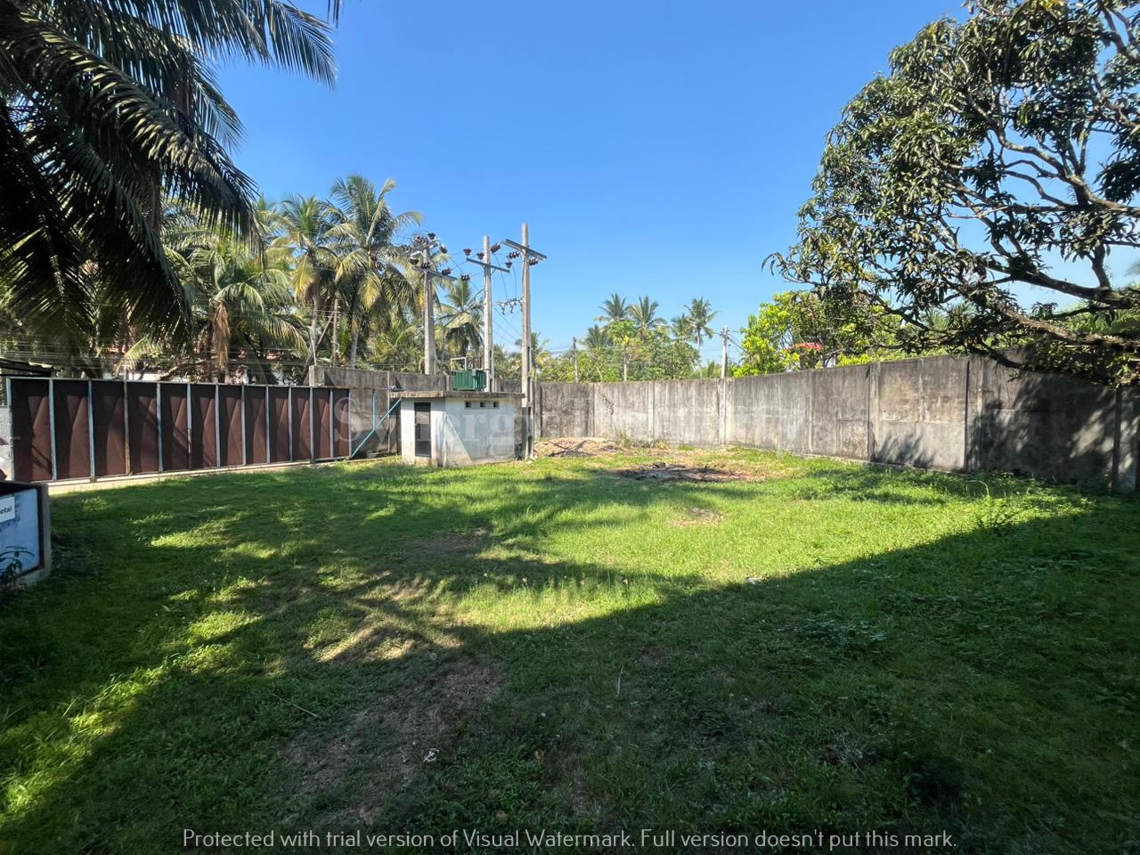 Advertisement image 5