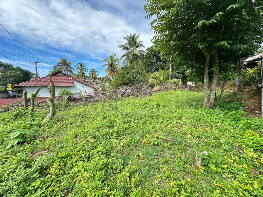 Commercial Land for Sale in Karapitiya