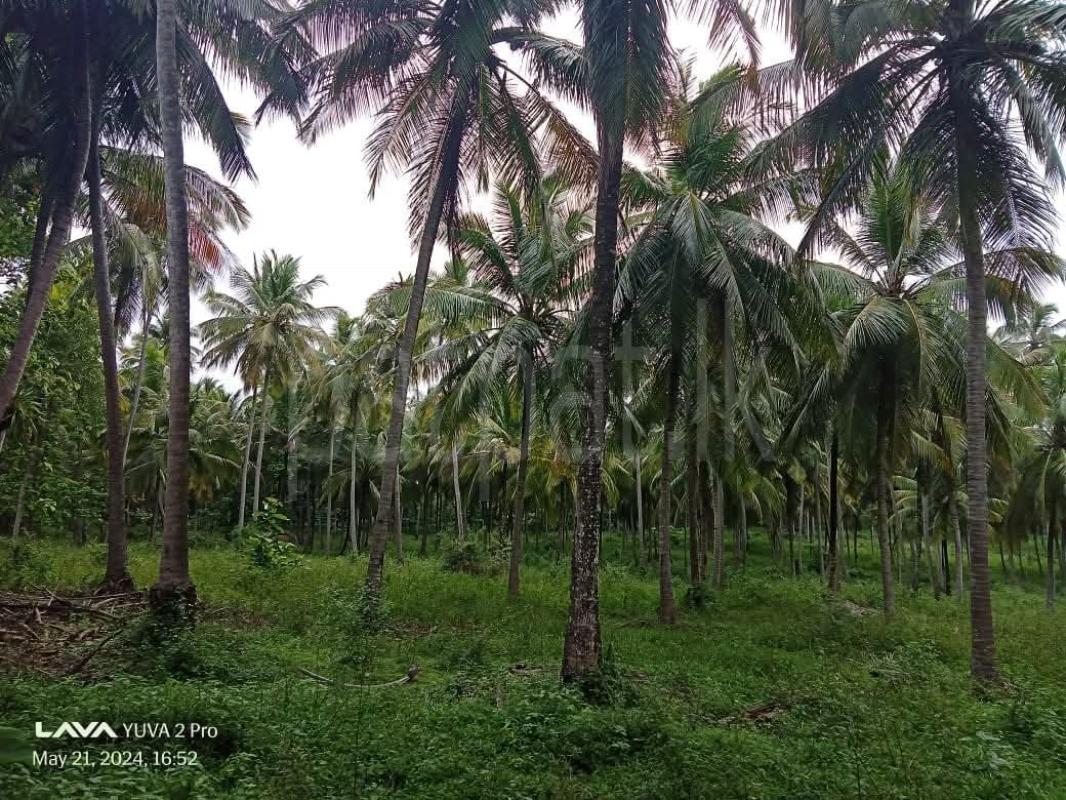 Agricultural Land for Sale in Kurunegala