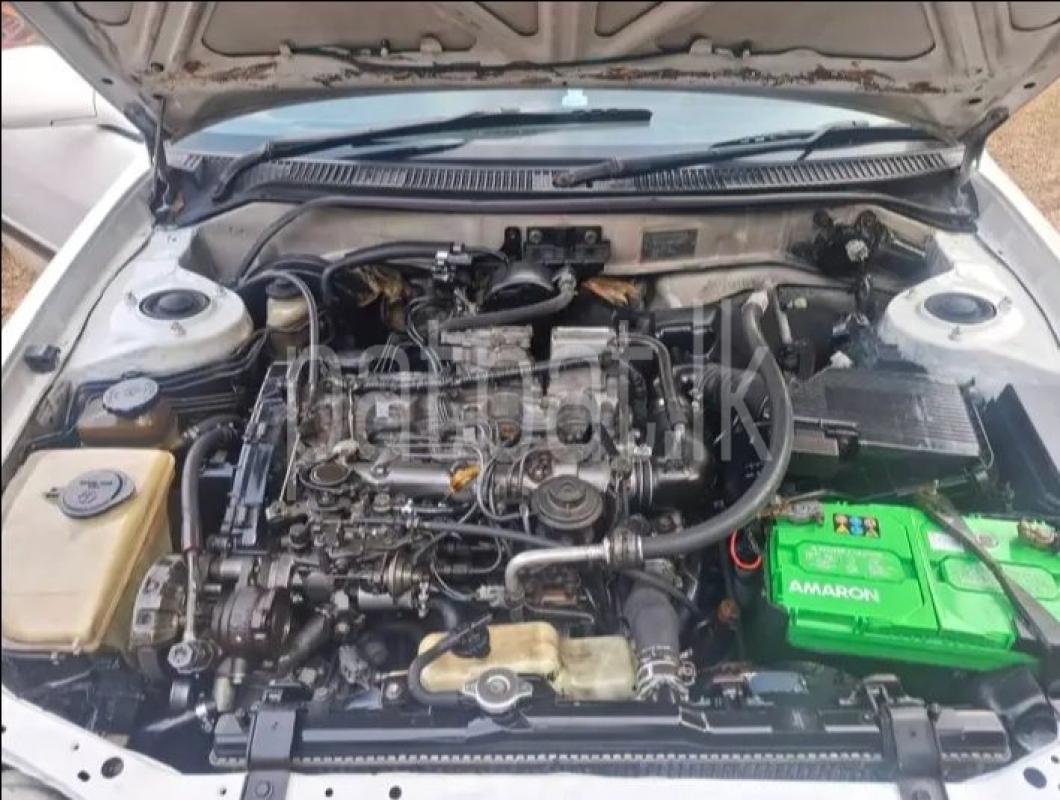 Advertisement image 6