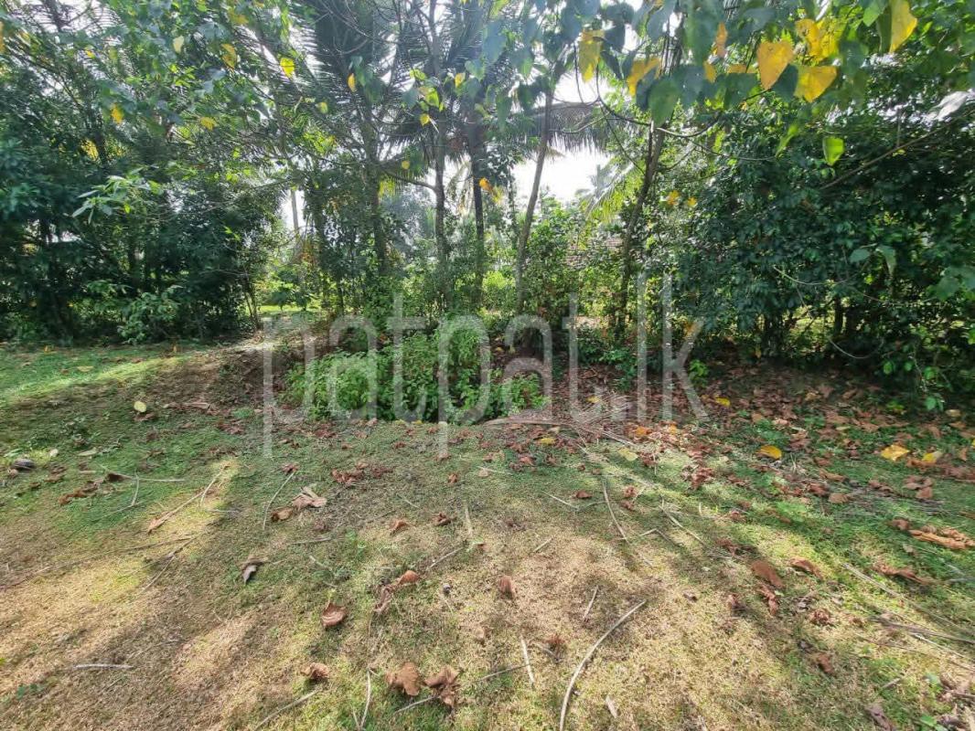 Residential Land for Sale in Nittambuwa
