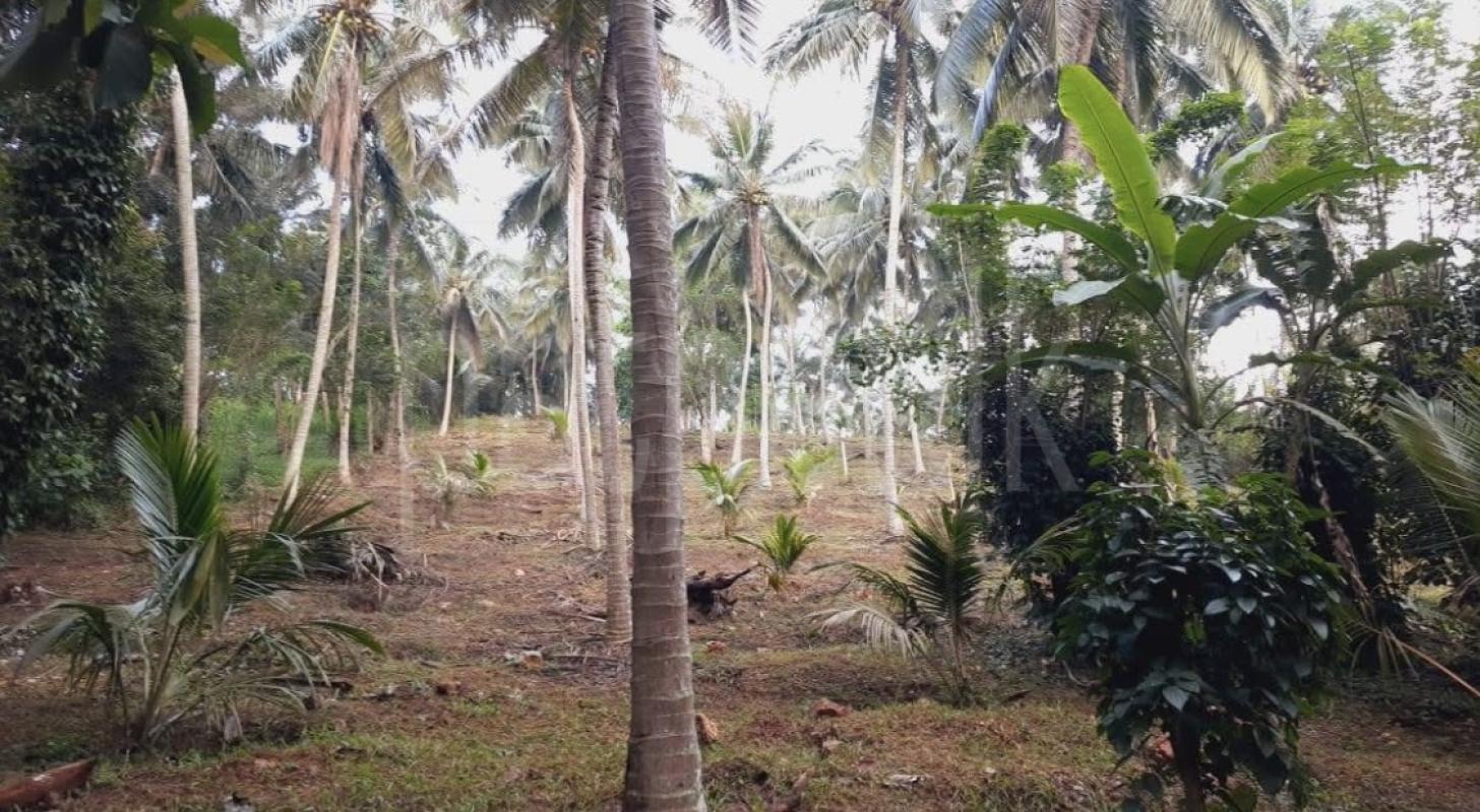 Agricultural Land for Sale in Kundasale