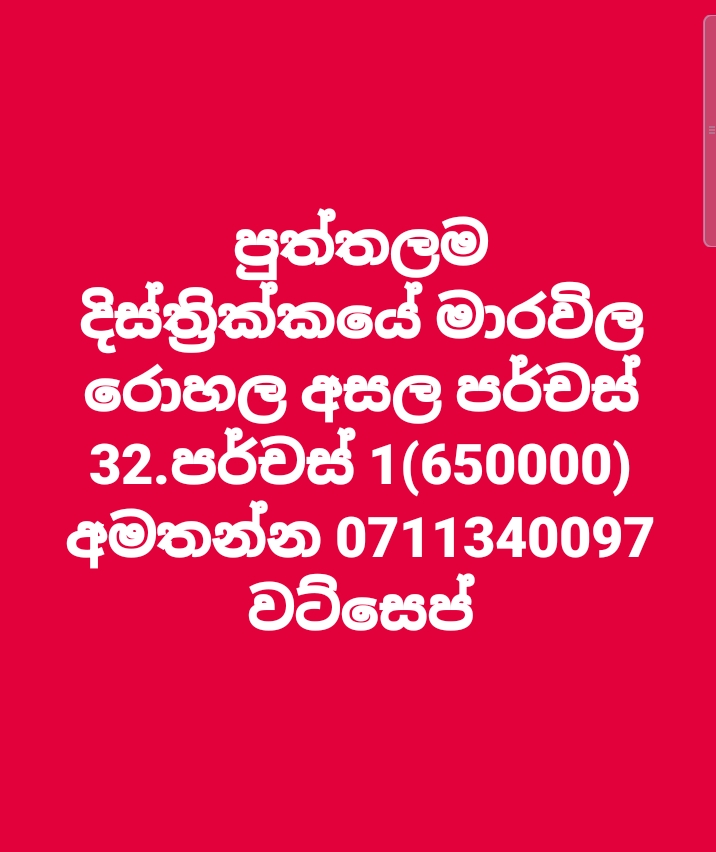 Residential Land for Sale in Marawila ads-image-1