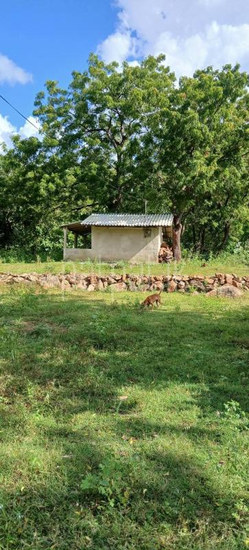 Residential Land for Sale in Kataragama