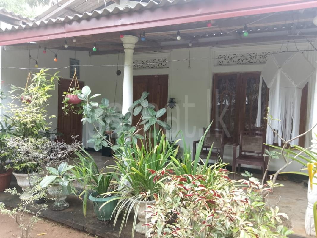 House for Sale in Ibbagamuwa ads-image-1