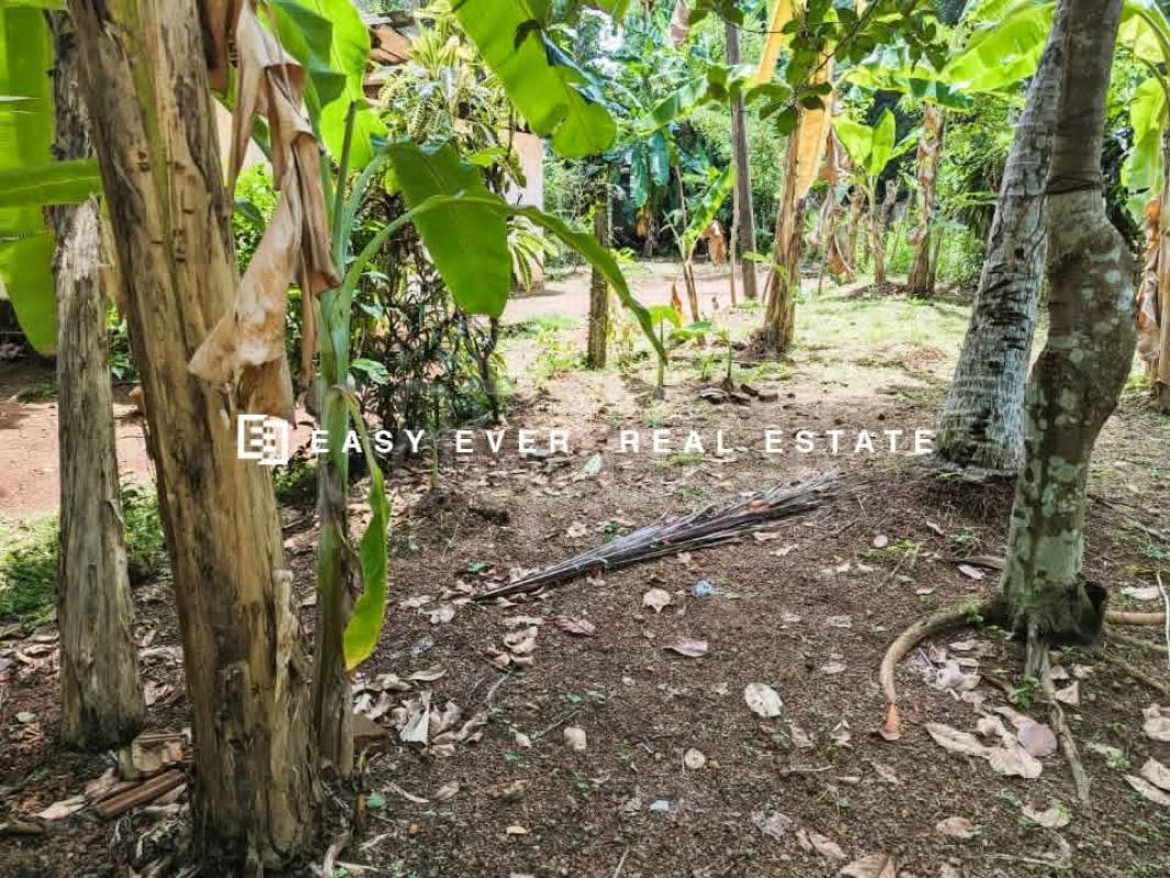 Residential Land for Sale in Ragama