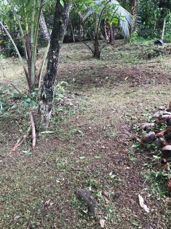 Residential Land for Sale in Kadawatha