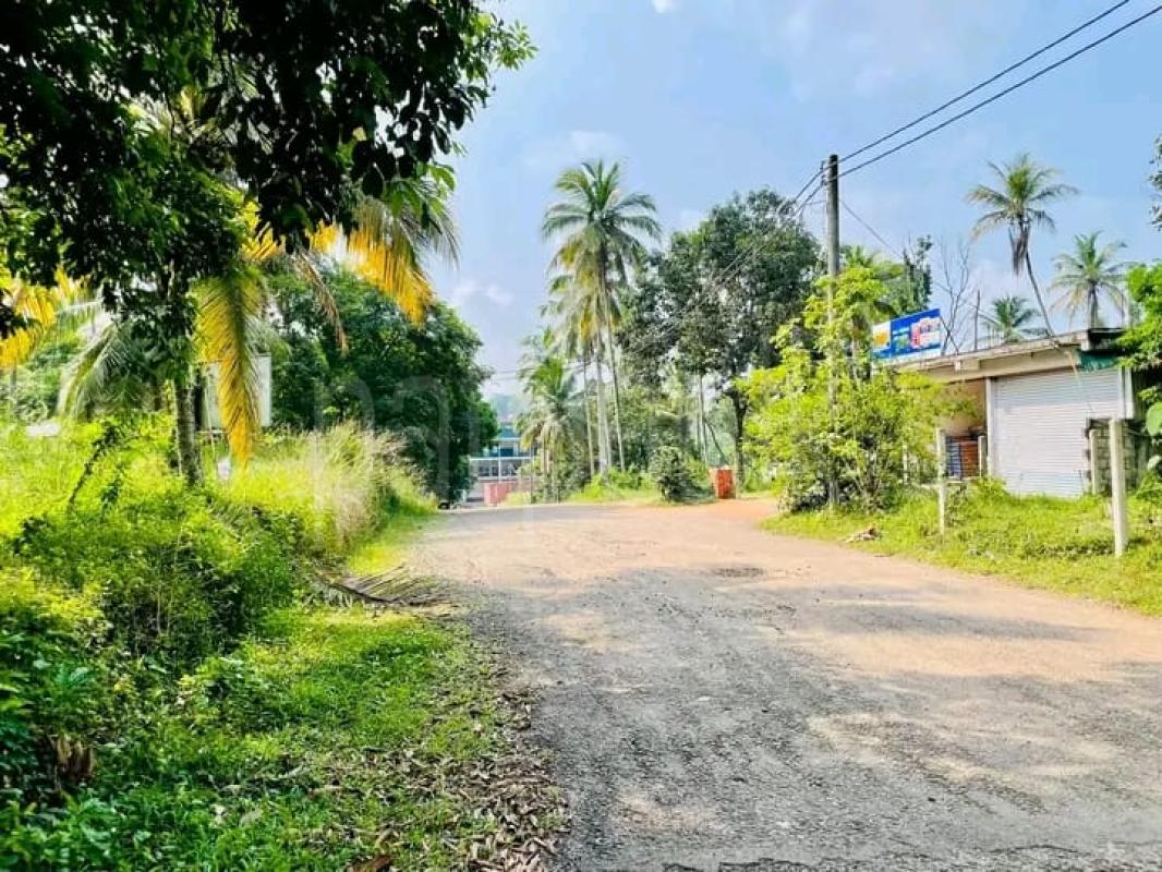 Commercial Land for Sale in Nittambuwa ads-image-1