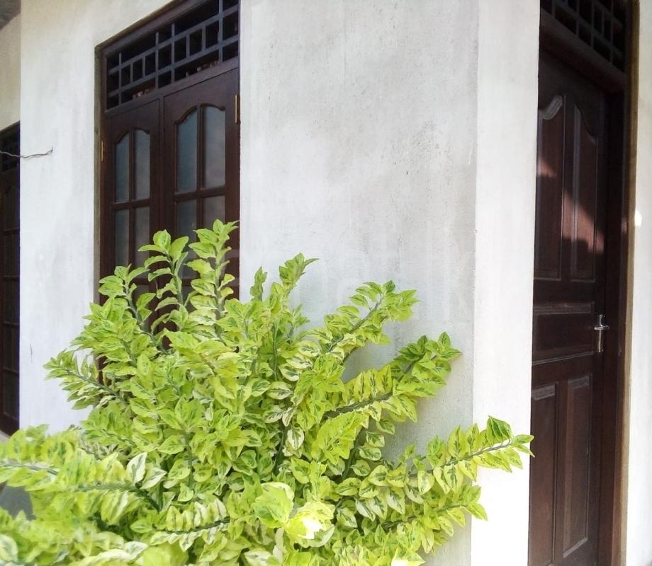 Room for Rent in Malabe