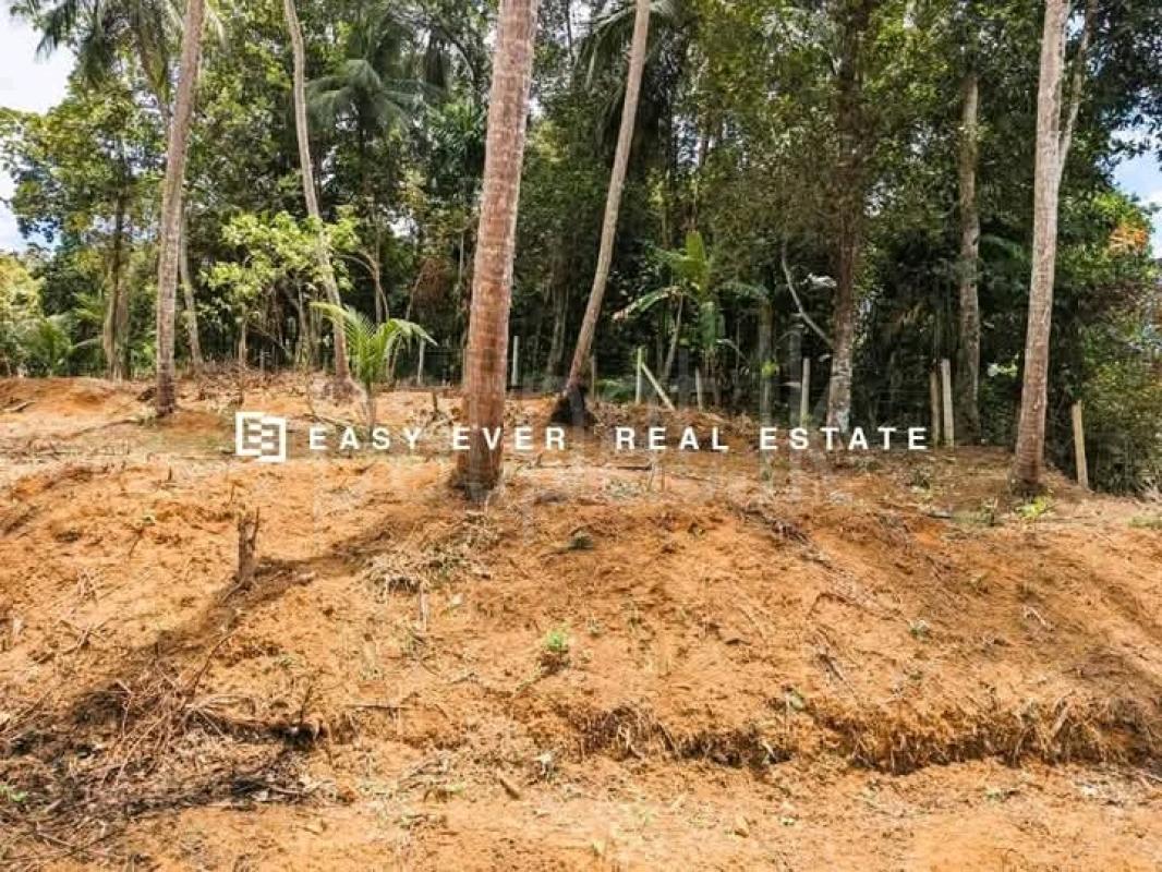 Commercial Land for Sale in Nittambuwa
