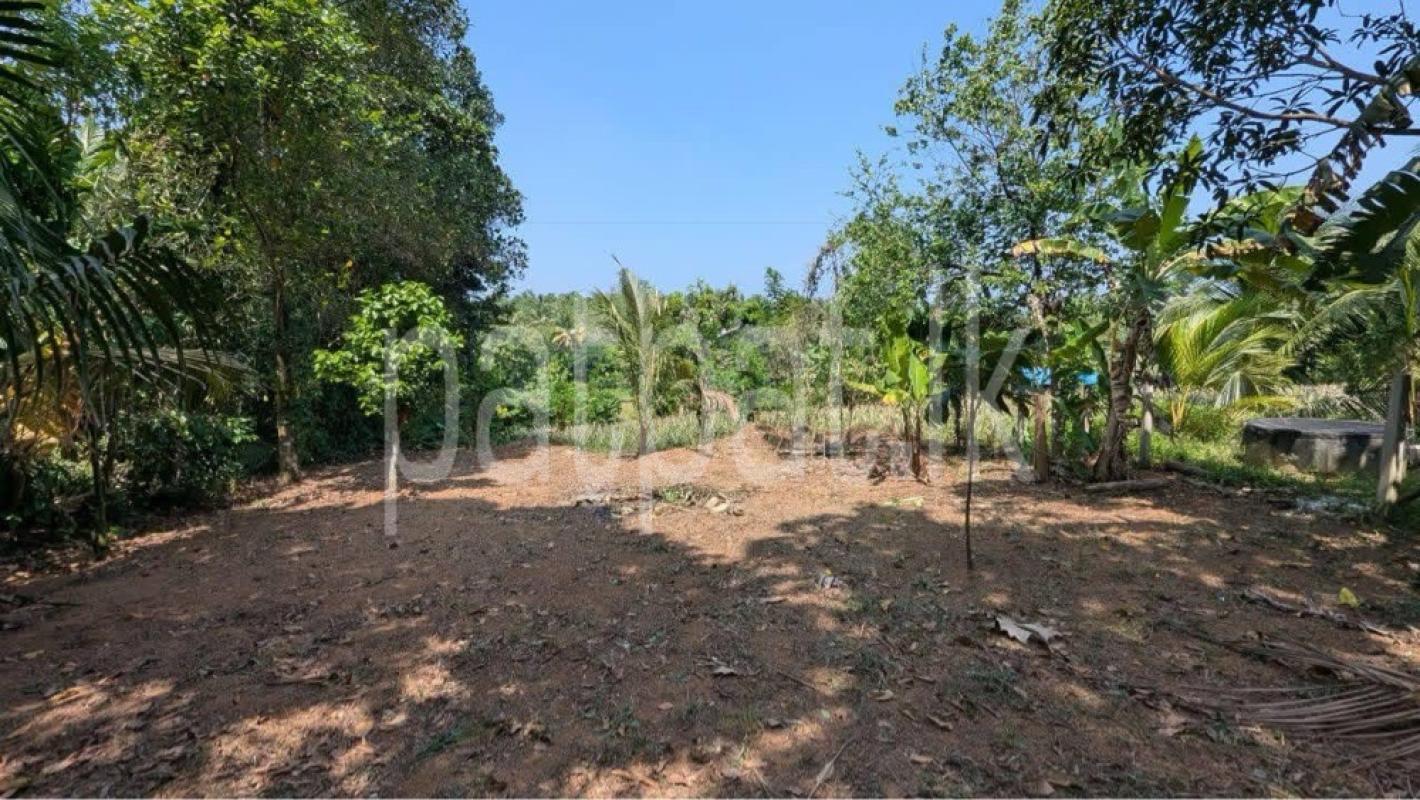 Residential Land for Sale in Kirindiwela