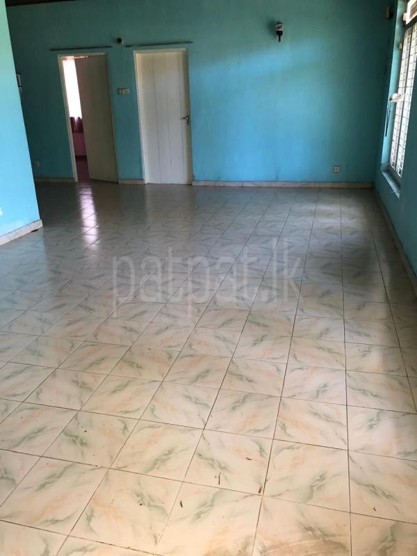 House for Rent in Piliyandala