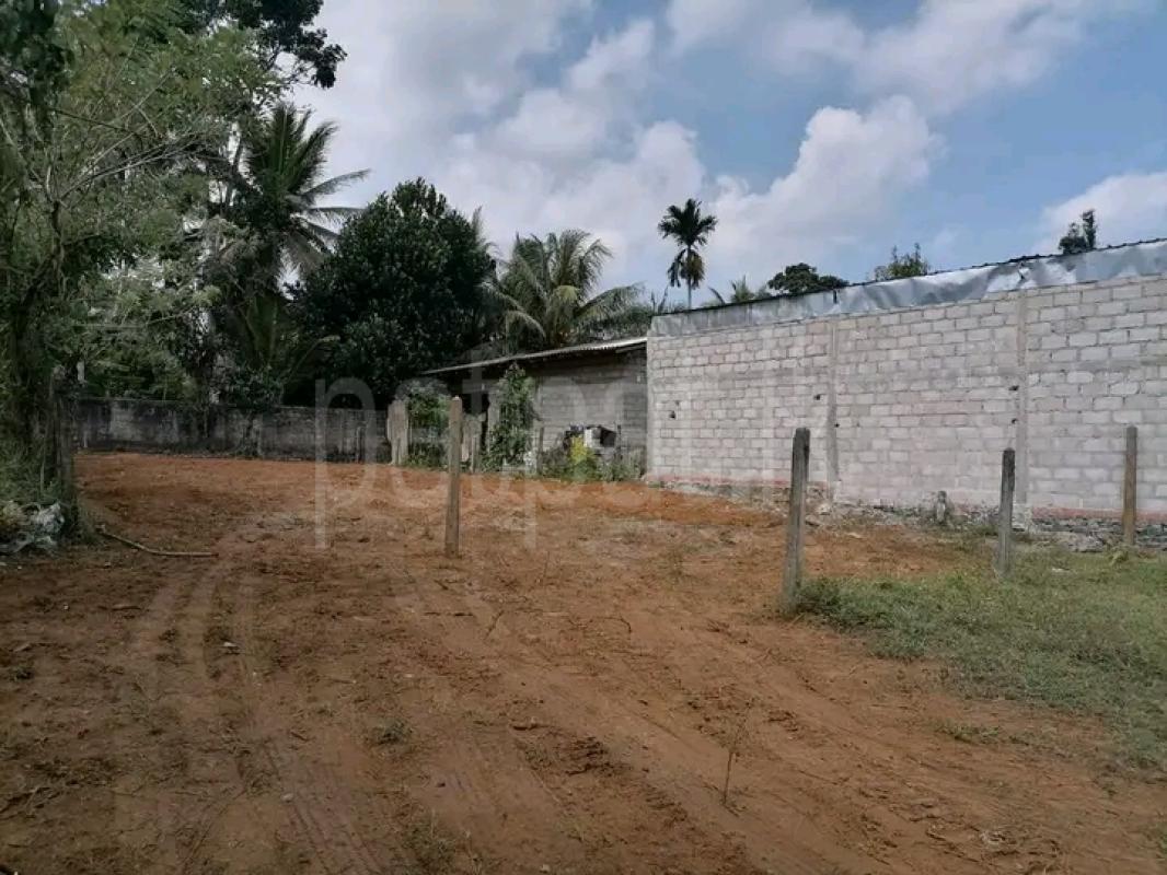 Residential Land for Sale in Minuwangoda